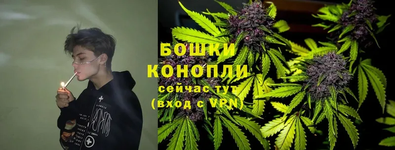 Марихуана White Widow  Нахабино 